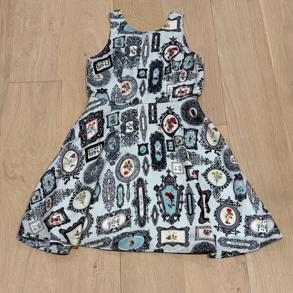 Anthropologie Women's Elegant Sleeveless Dress with Frame Print size 6P